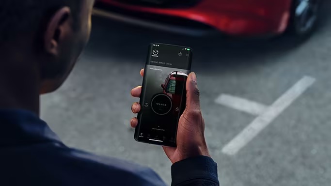 Plug-in Hybrid